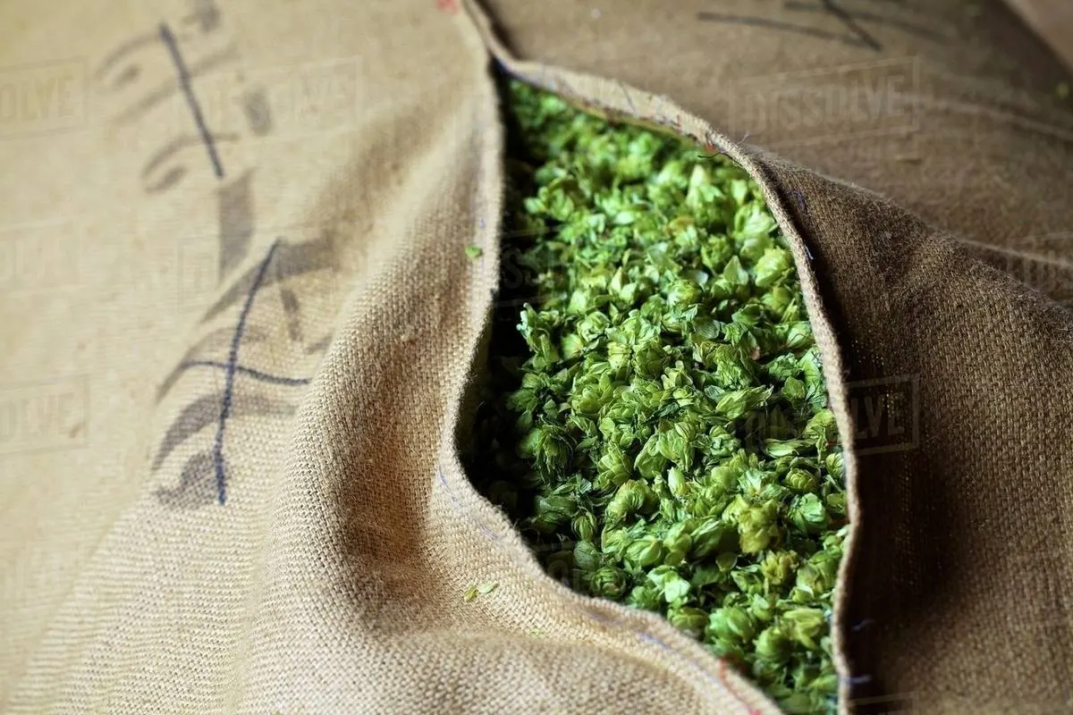 Beer Packaging — visual 6