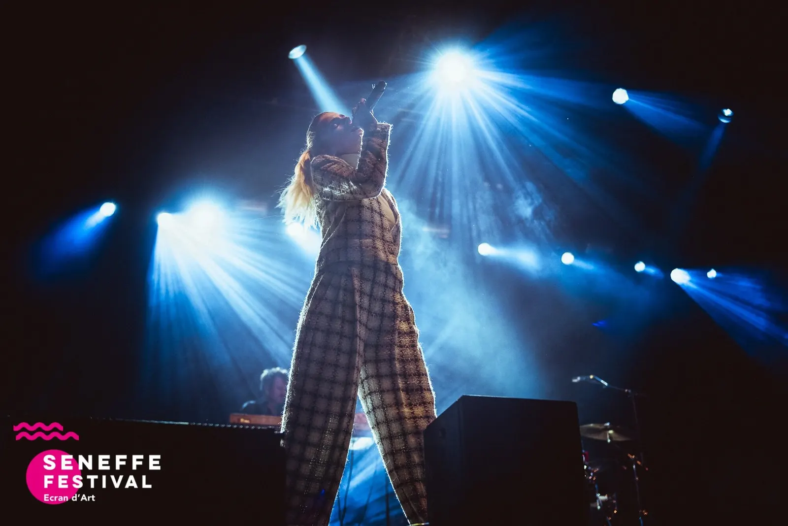 Seneffe Festival Project — visual 6