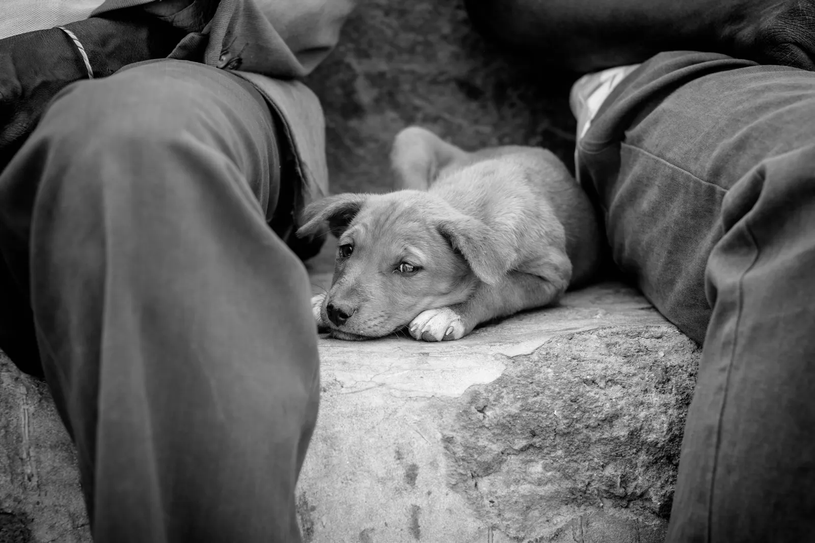 Photography - Burkina Faso 2018 — visual 57