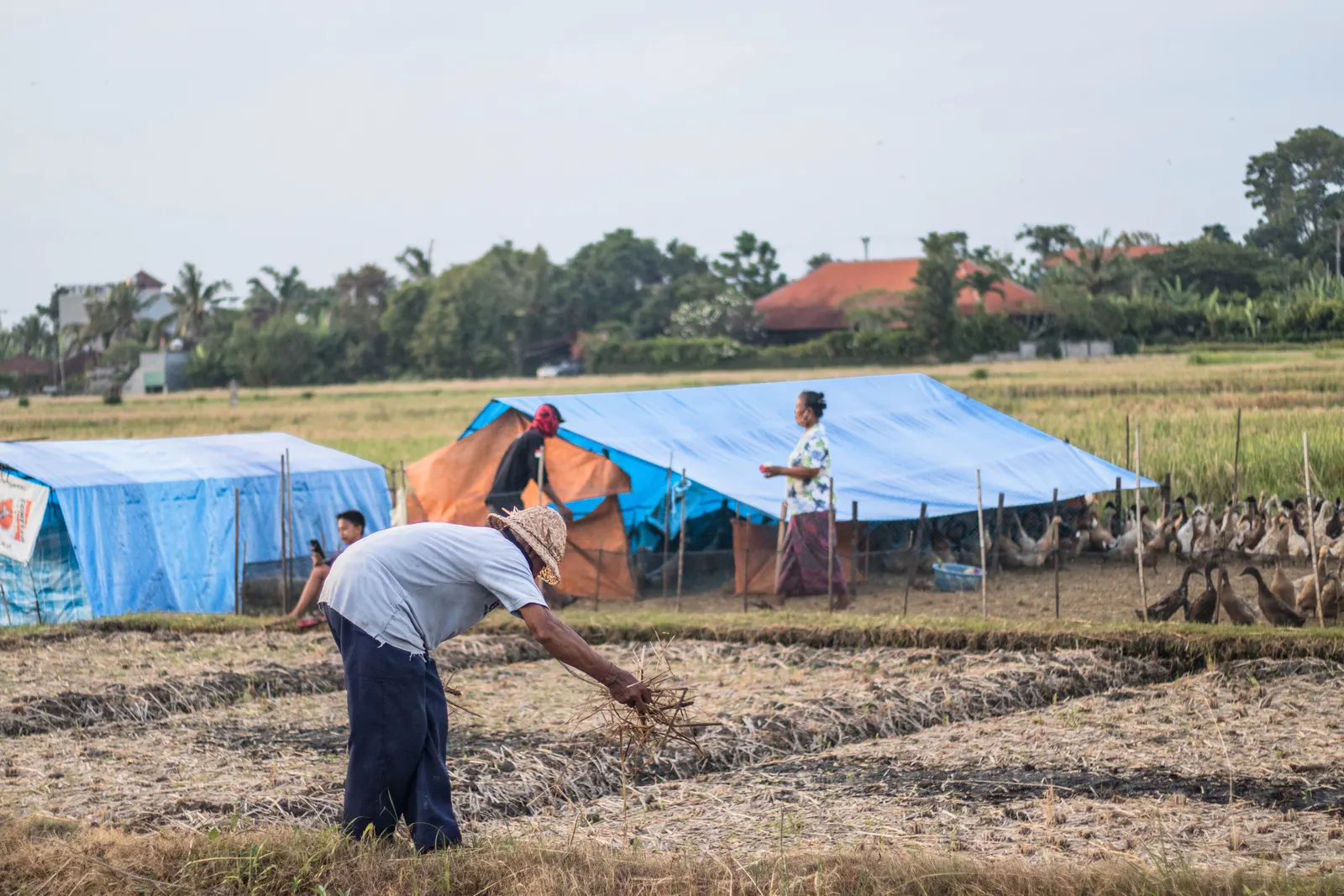 Photography - Indonesia 2020 — visual 42