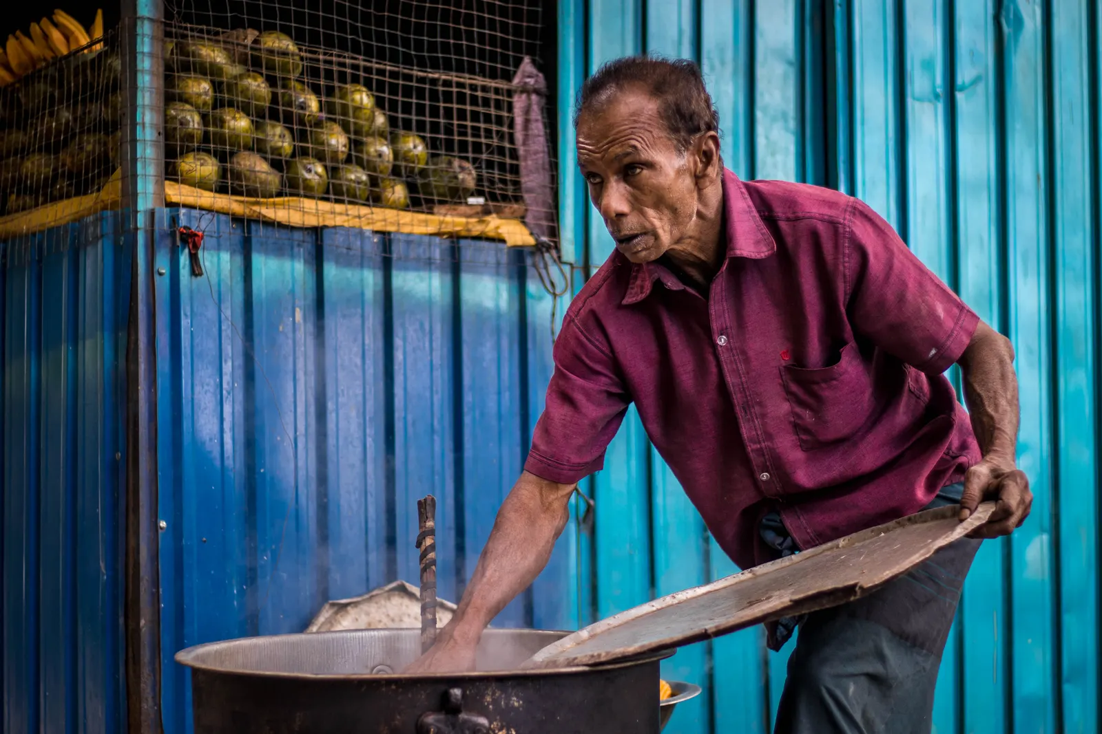 Photography - Sri Lanka — visual 4