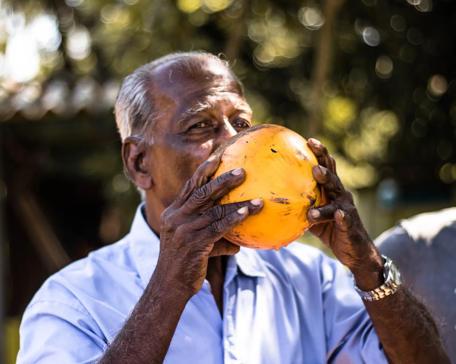 Photography - Sri Lanka — visual 5