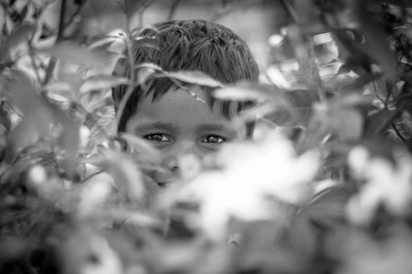 Photography - Sri Lanka — visual 27