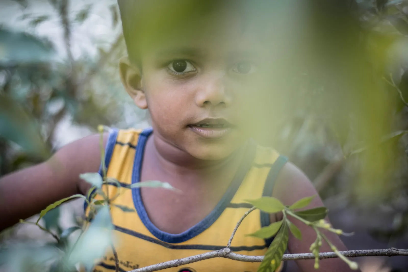 Photography - Sri Lanka — visual 29