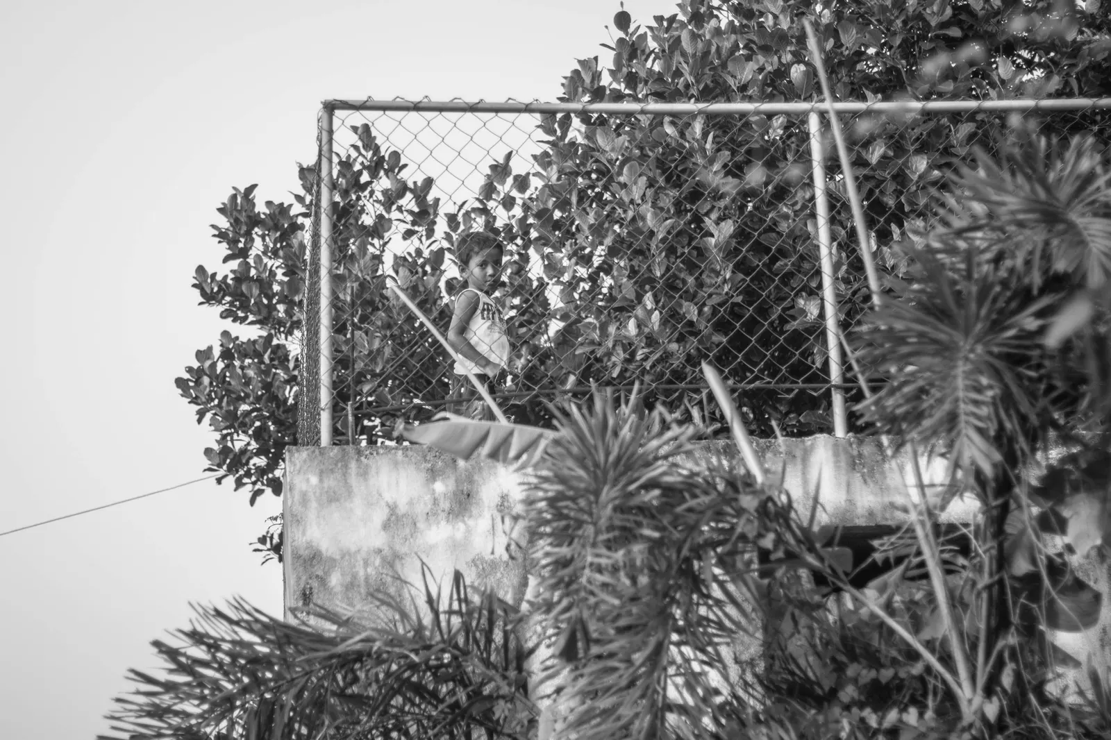 Photography - Sri Lanka — visual 35