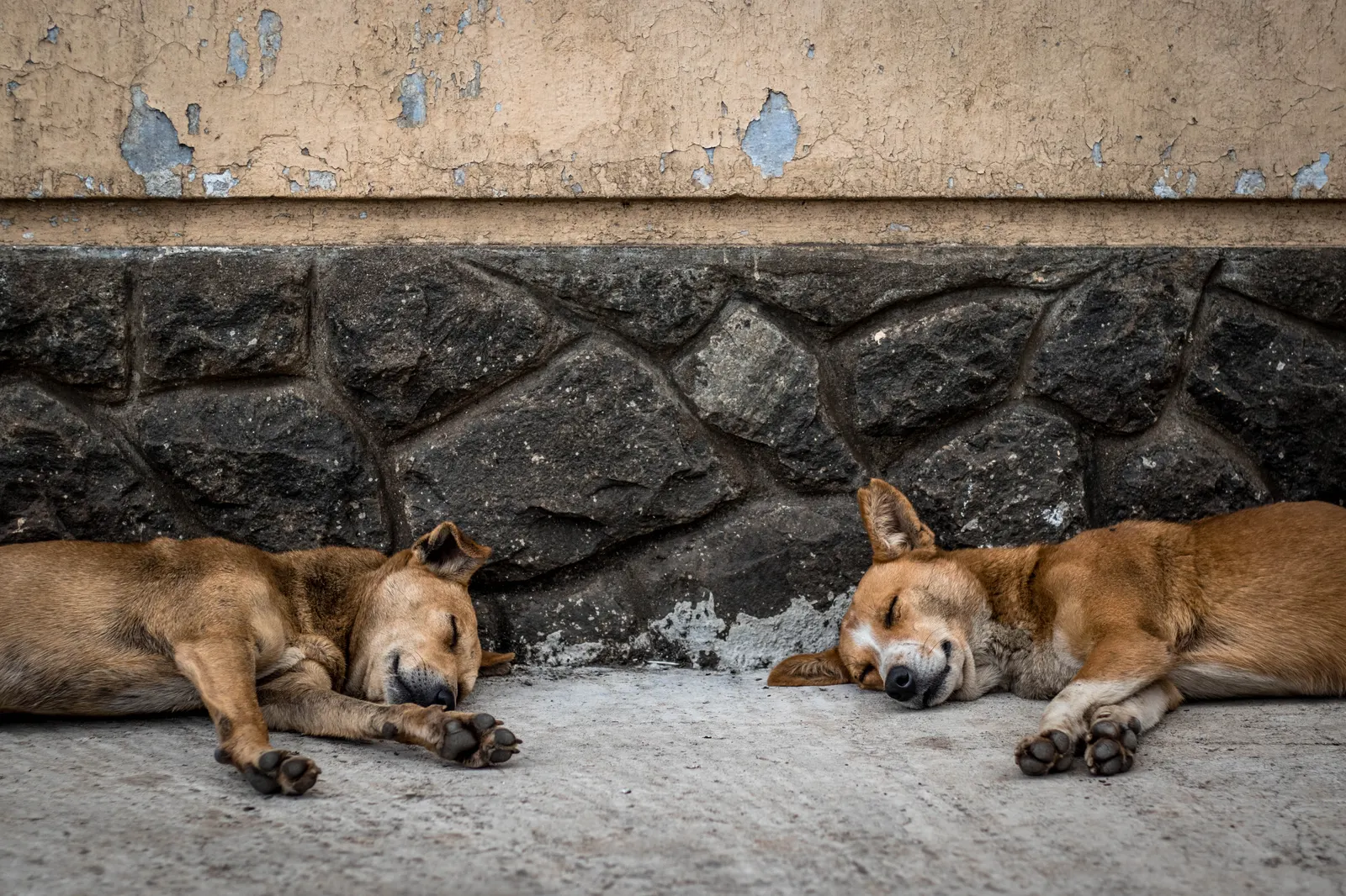 Photography - Sri Lanka — visual 46