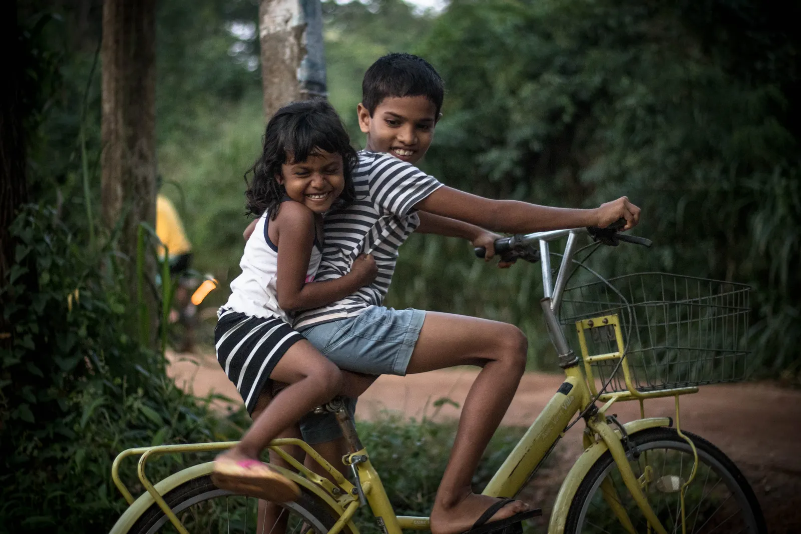 Photography - Sri Lanka — visual 59