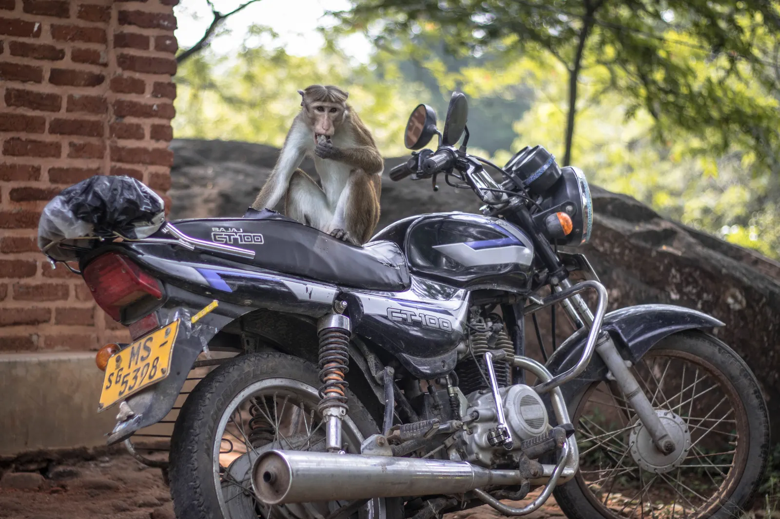 Photography - Sri Lanka — visual 61