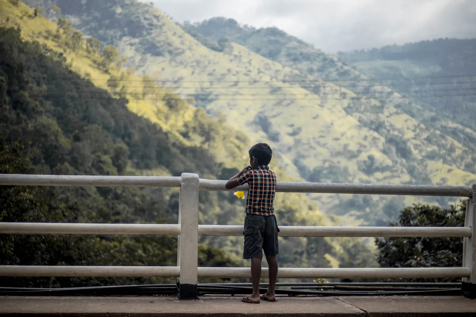 Photography - Sri Lanka — visual 78