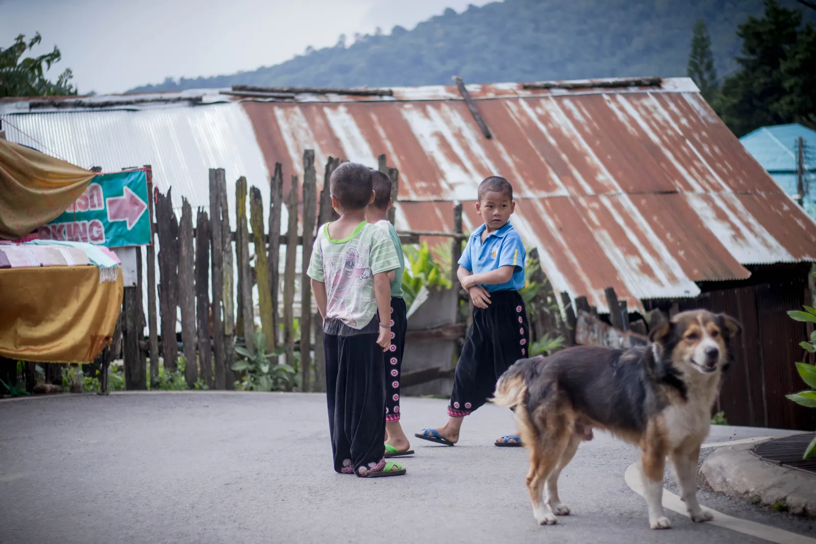 Photography - Thailand 2018 — visual 91
