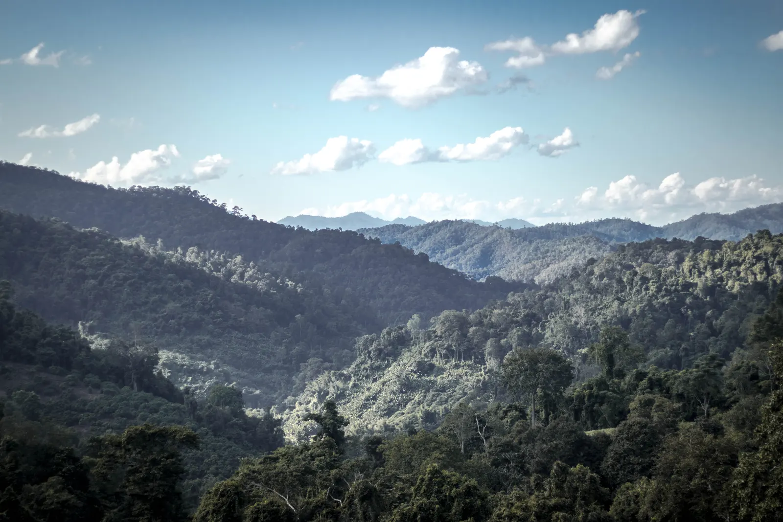 Photography - Thailand 2018 — visual 103